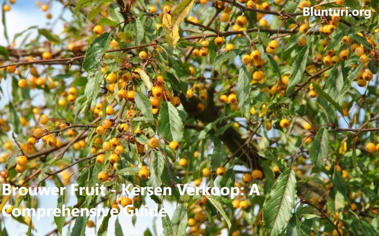 brouwer-fruit-kersen-verkoop_1725276783