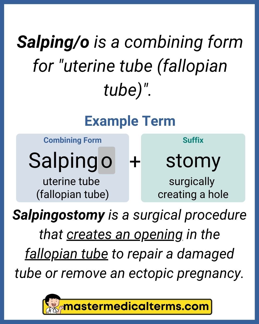 salpingo-medical-term_1725277440