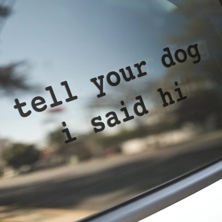 tell-your-dog-i-said-hi_1725277538